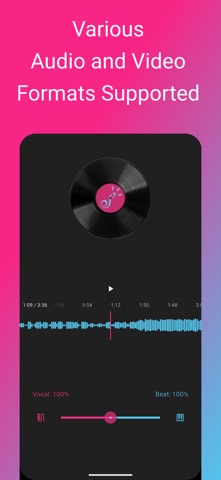 LocalSplit screenshot