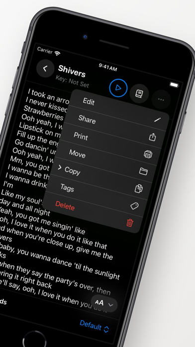 Lyrics: Live Screenshot