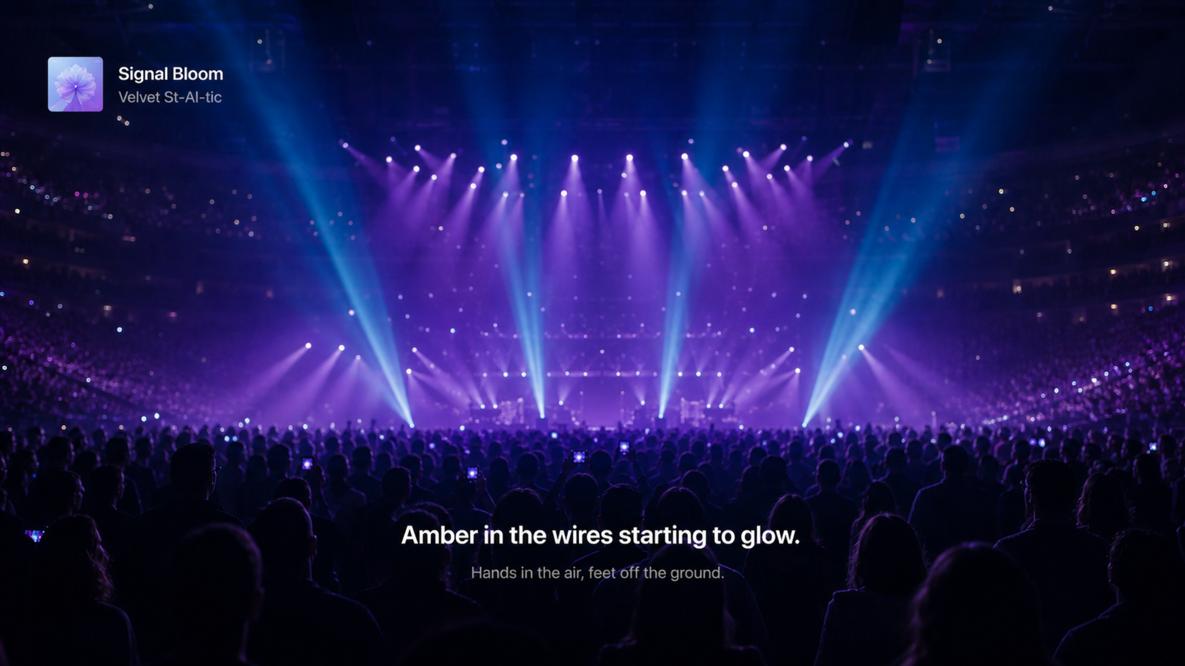 Lyrical: Concert & Car Lyrics screenshot 14