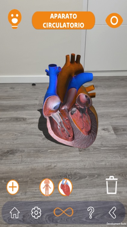 Limitless Education Personal