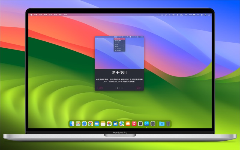CapTexts - 专业的OCR识别 screenshot