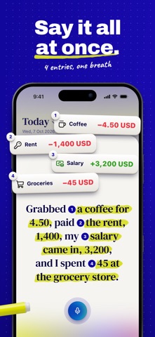 Notal: AI Expense Tracker Screenshot 2 of 6