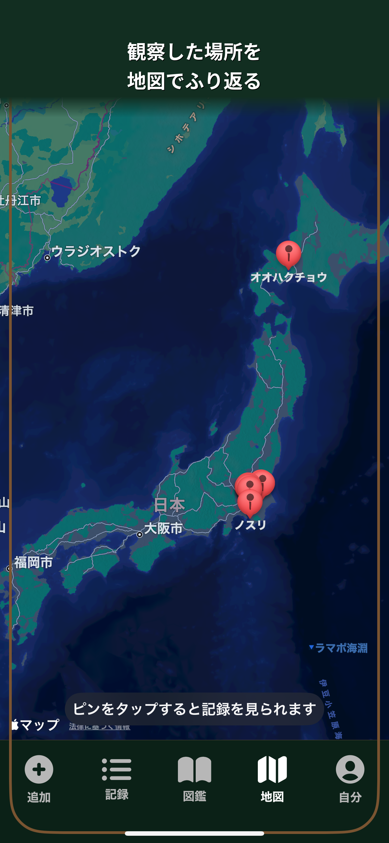 AviList Asia：野鳥記録・観察図鑑 screenshot 5