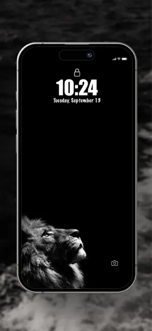 Black Wallpaper Darkify screenshot 2