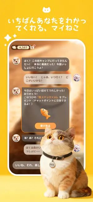 Meowster:AI猫と話せる癒しチャット iPhone screenshot 4