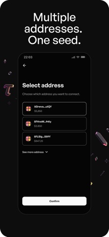 Crucible: Bittensor Wallet screenshot