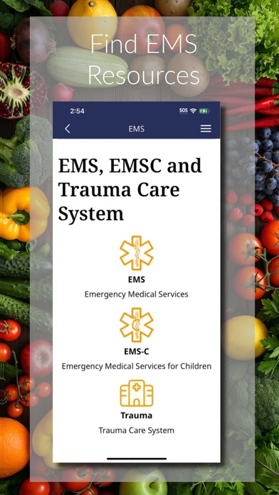 MSDH Healthy App Screenshot