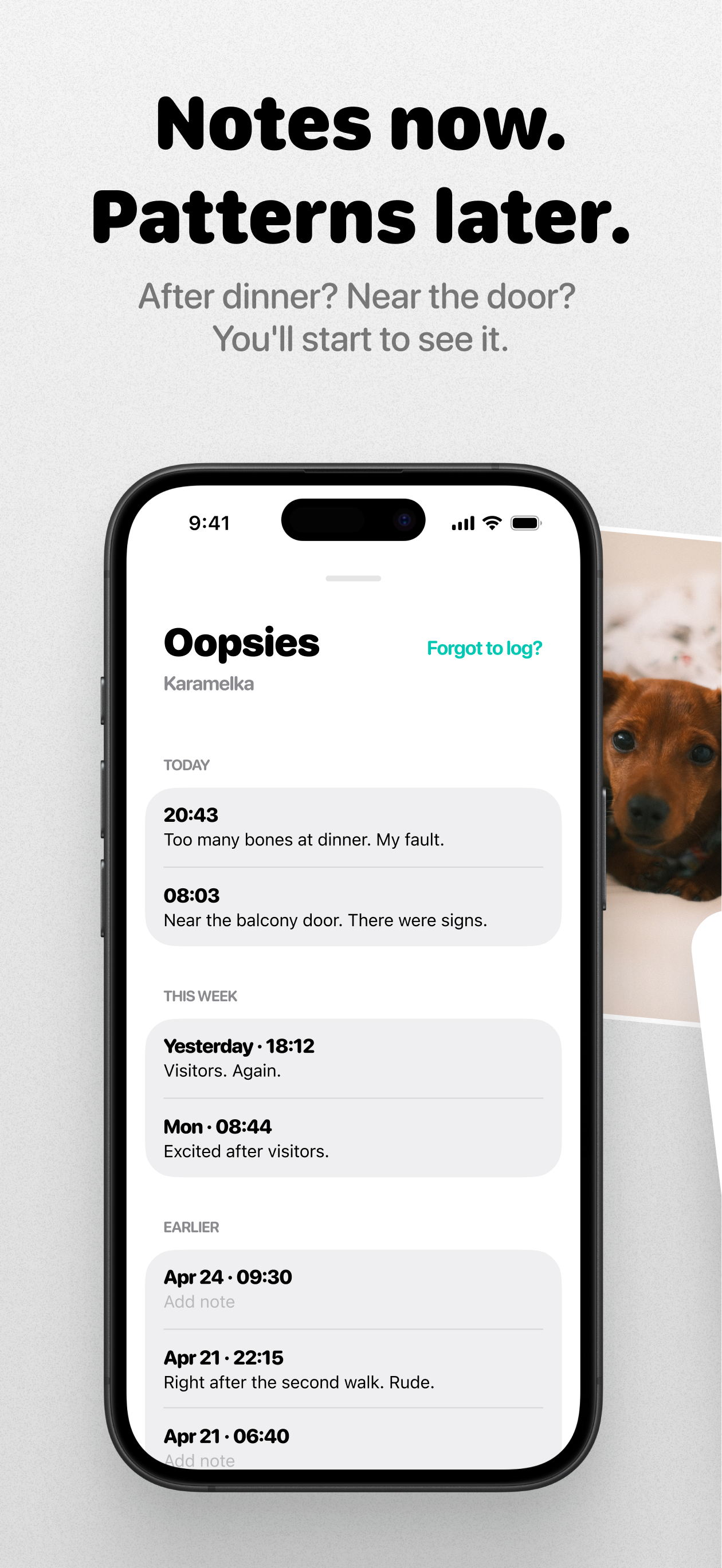Oopsie: Dog Training Tracker screenshot 4