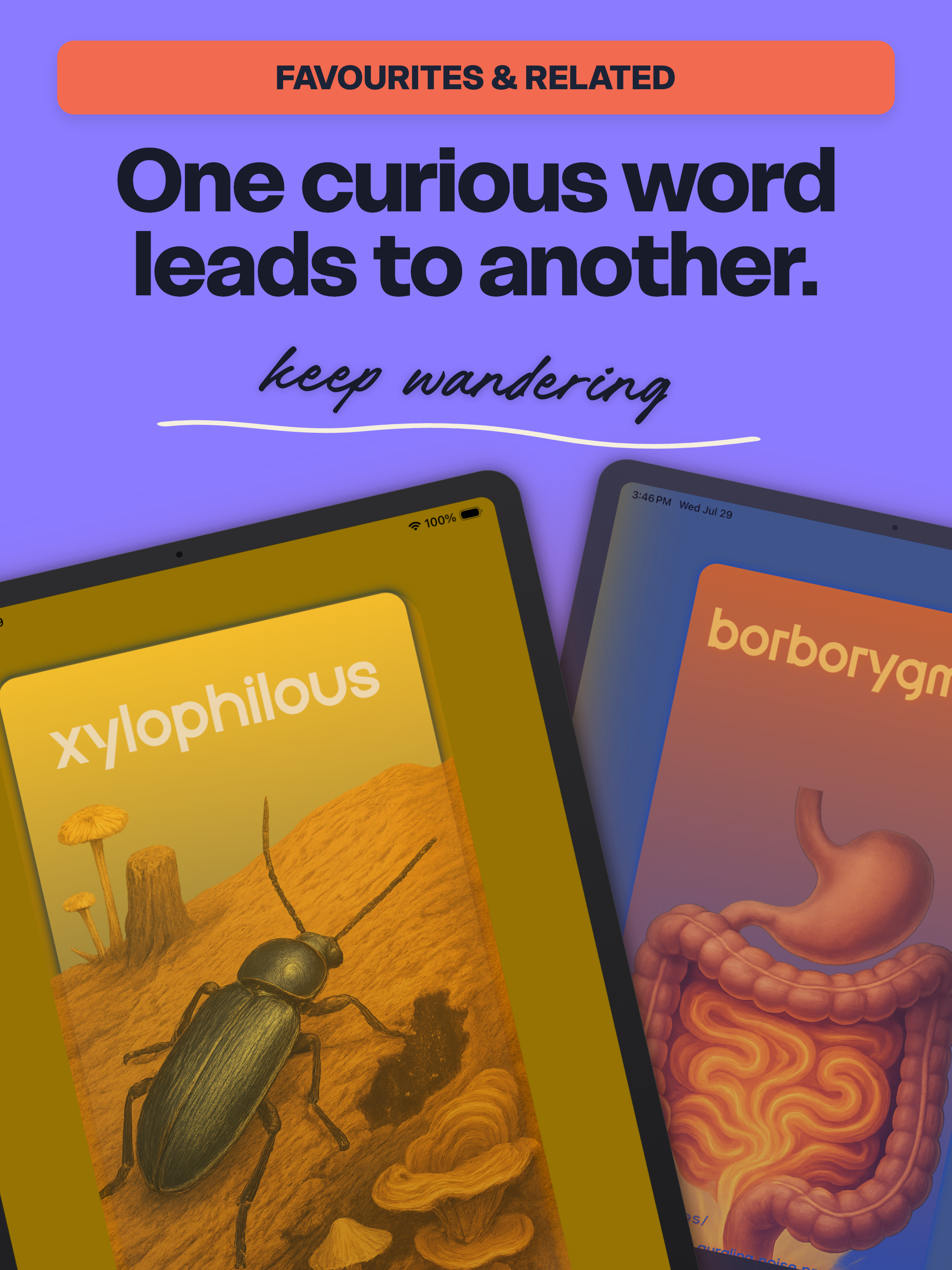 Lexity: Word of the Day screenshot 12