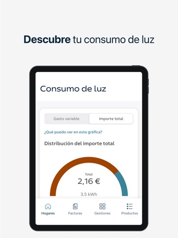 Área Cliente Régsiti iPad screenshot