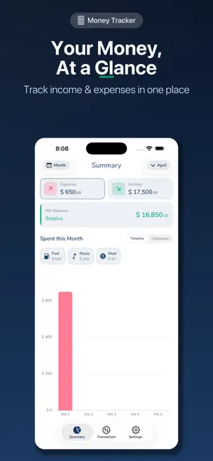 The MoneyTracker screenshot 2