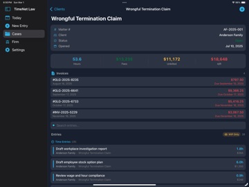 TimeNet Law ipad screenshot 3