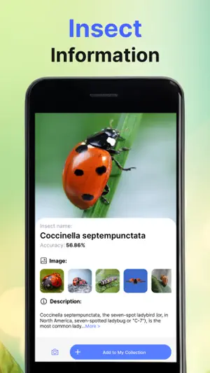 Bug Identifier Insect Finder screenshot 3