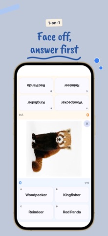 Igomoya: Picture Quiz screenshot 4