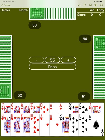 Pinochle - Expert AI iPad screenshot