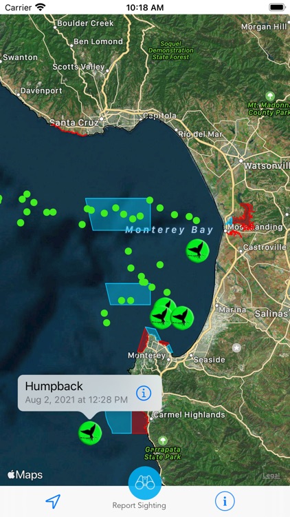 Whale Alert