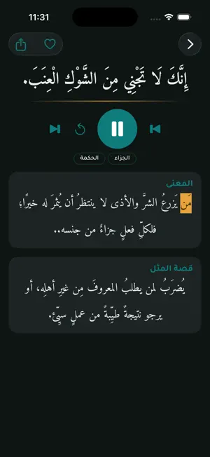 Arabic Proverbs screenshot 4