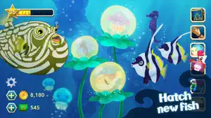 Splash — Fish Aquarium screenshot 1