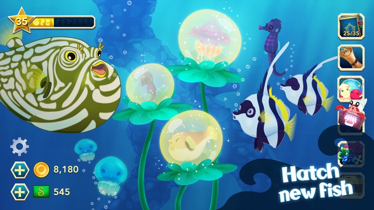 Splash — Fish Aquarium screenshot-0