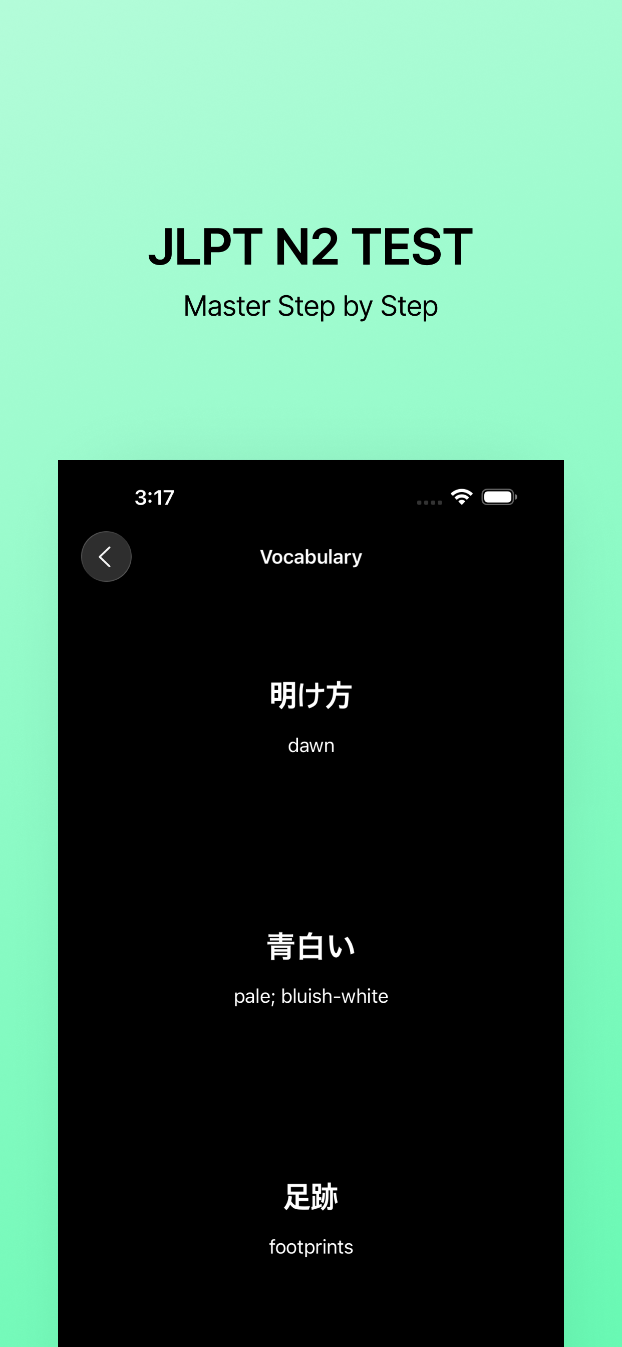 N2 TEST