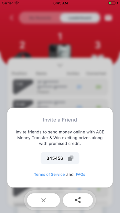 ACE Money Transfer Screenshot