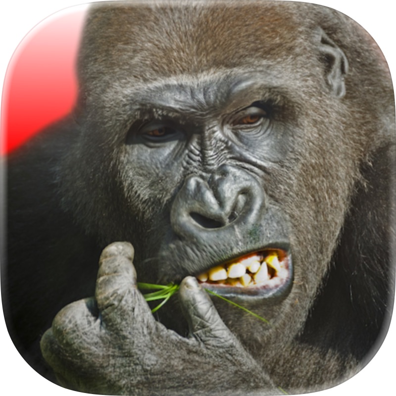 Cluck Shot: Guerra de pollos screenshot 5