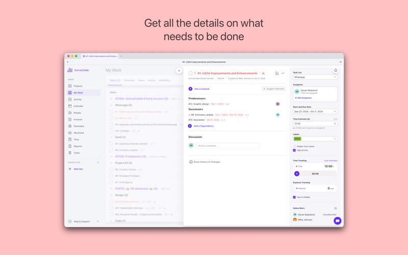 ActiveCollab: Projects screenshot