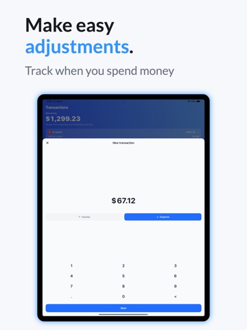TapSheet: Budget App iPad screenshot 6