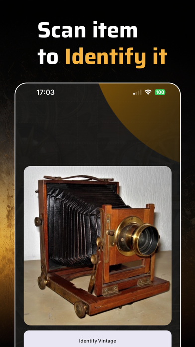 Vintage ID: Identifier & Value Screenshot