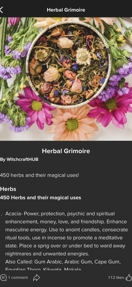 WitchBook screenshot 3