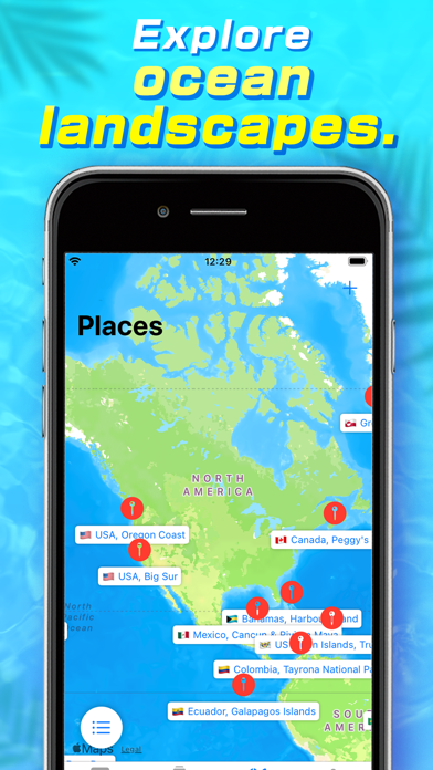 Whale: Video Chat & Adventure Screenshot