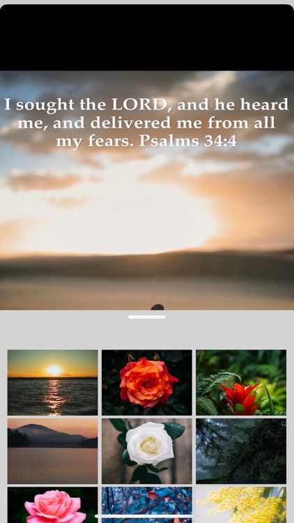 Holy Rosary - Prayer App screenshot-9