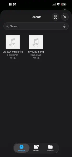 MP3Native screenshot 4