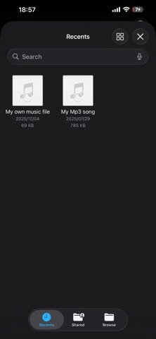 MP3Native Screenshot 4 of 7