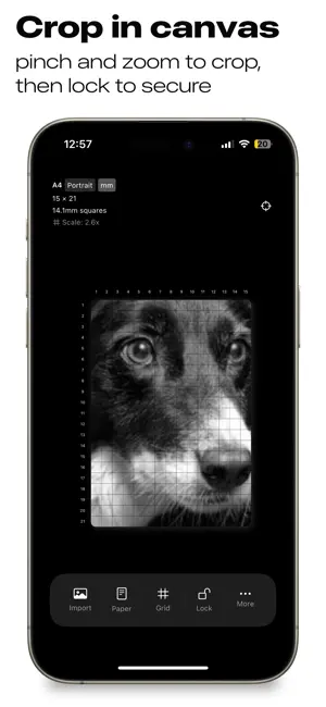 Griddy Sketch: Drawing Grid screenshot 3