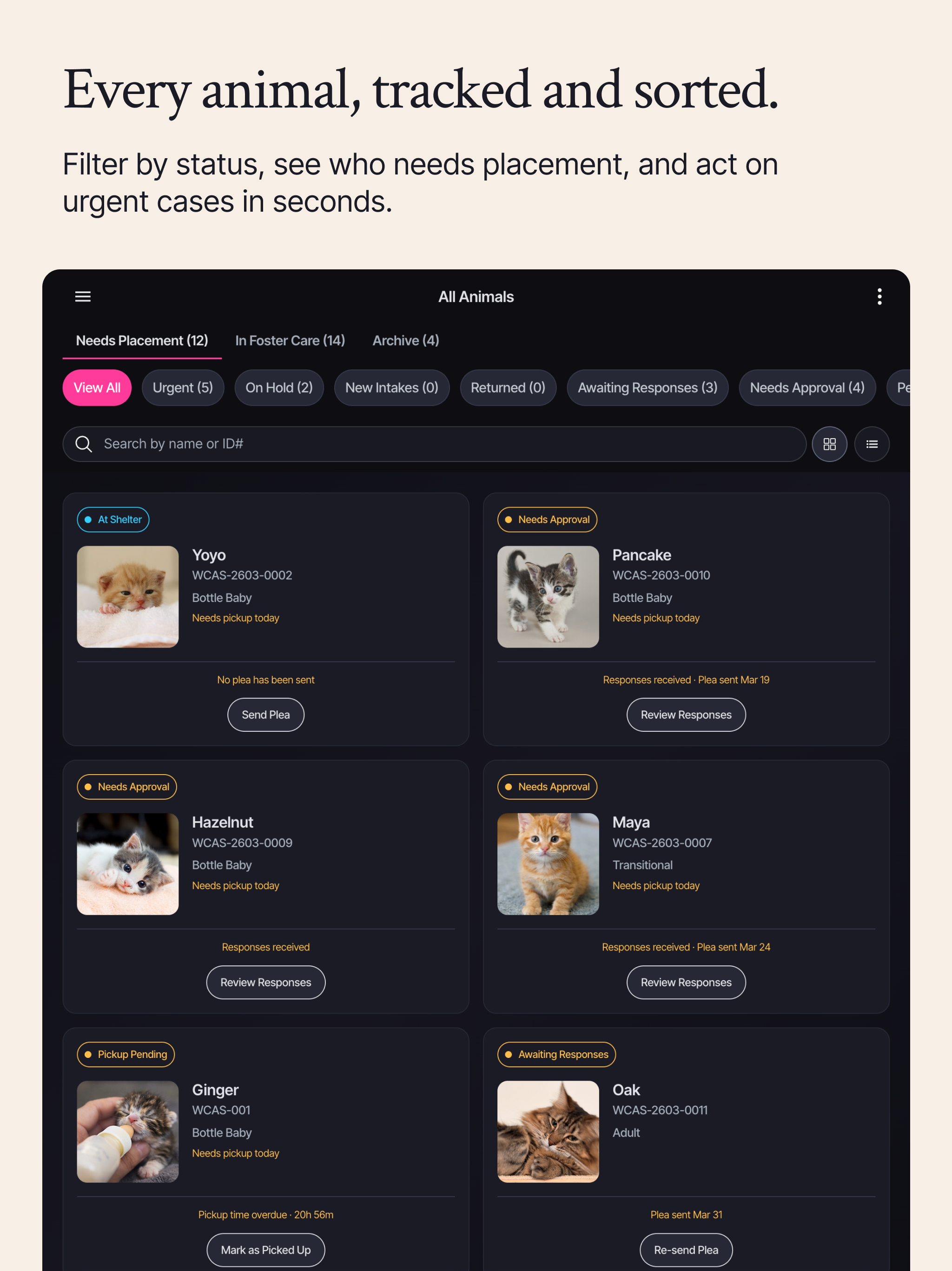 Pawsitive Foster screenshot 7