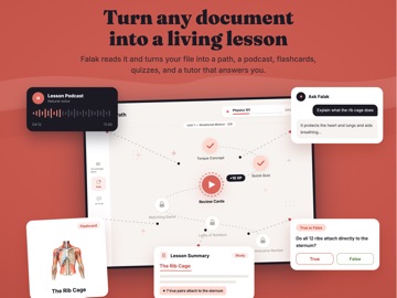 Falak AI: More Than Flashcards iPad screenshot