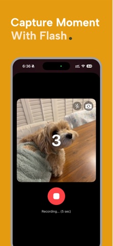 MemoryBalls Pro Screenshot 3 of 6