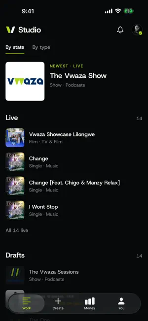 Vwaza Studio screenshot 2