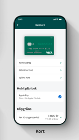 Skandia och Skandiabanken screenshot