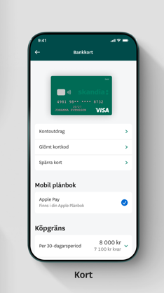 Skandia och Skandiabanken screenshot 3