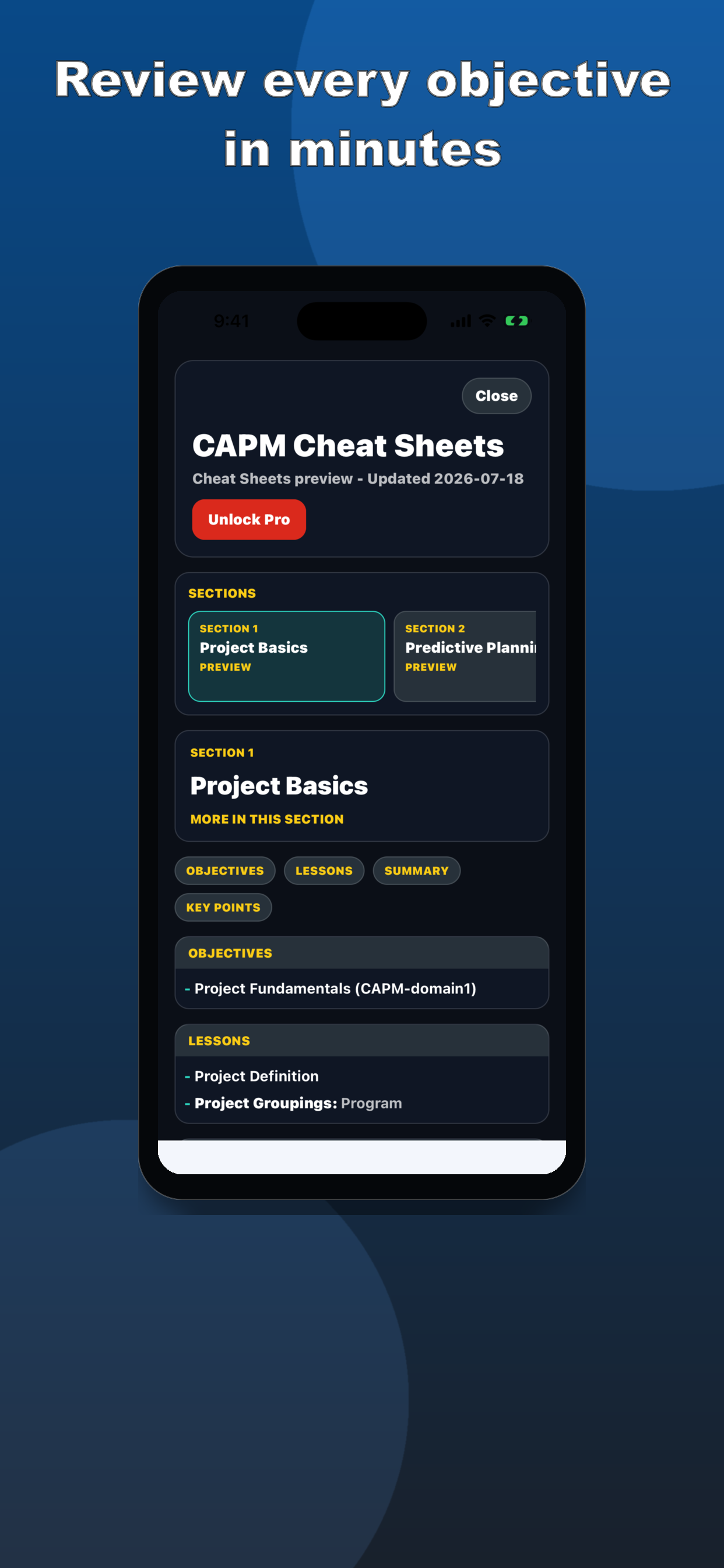 CAPM Practice Test screenshot 4