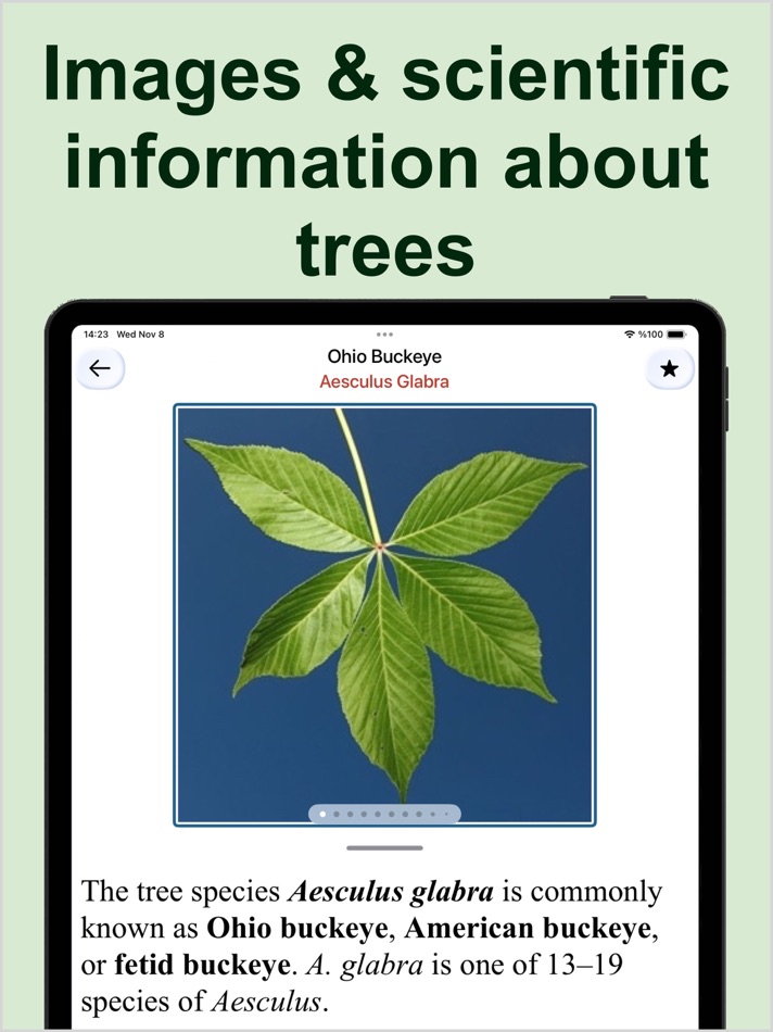 #6. Forest Tree Identification (iOS) Podle: Kesifler Dunyasi Ltd.