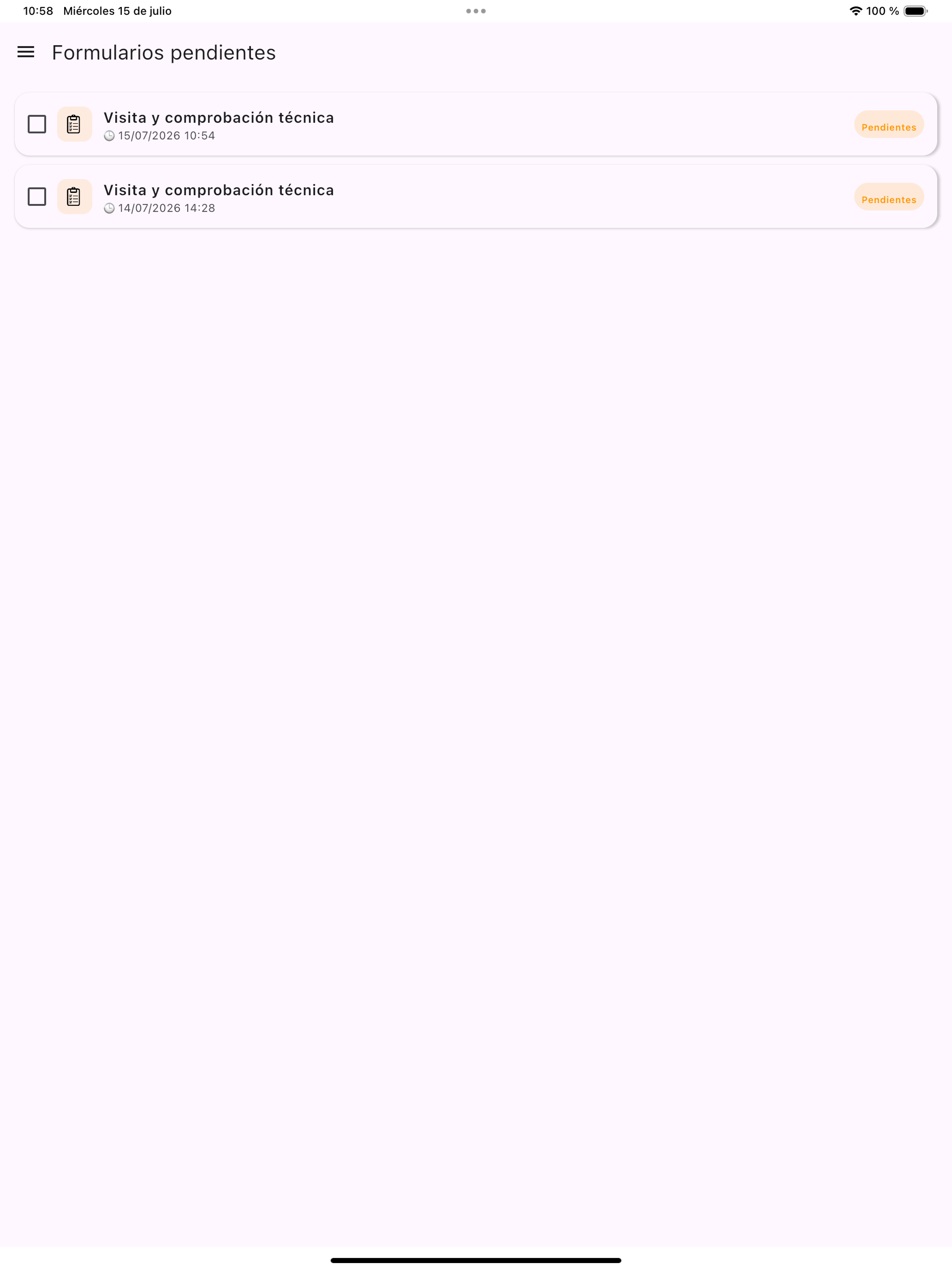 Bixpe Formularios online screenshot 15