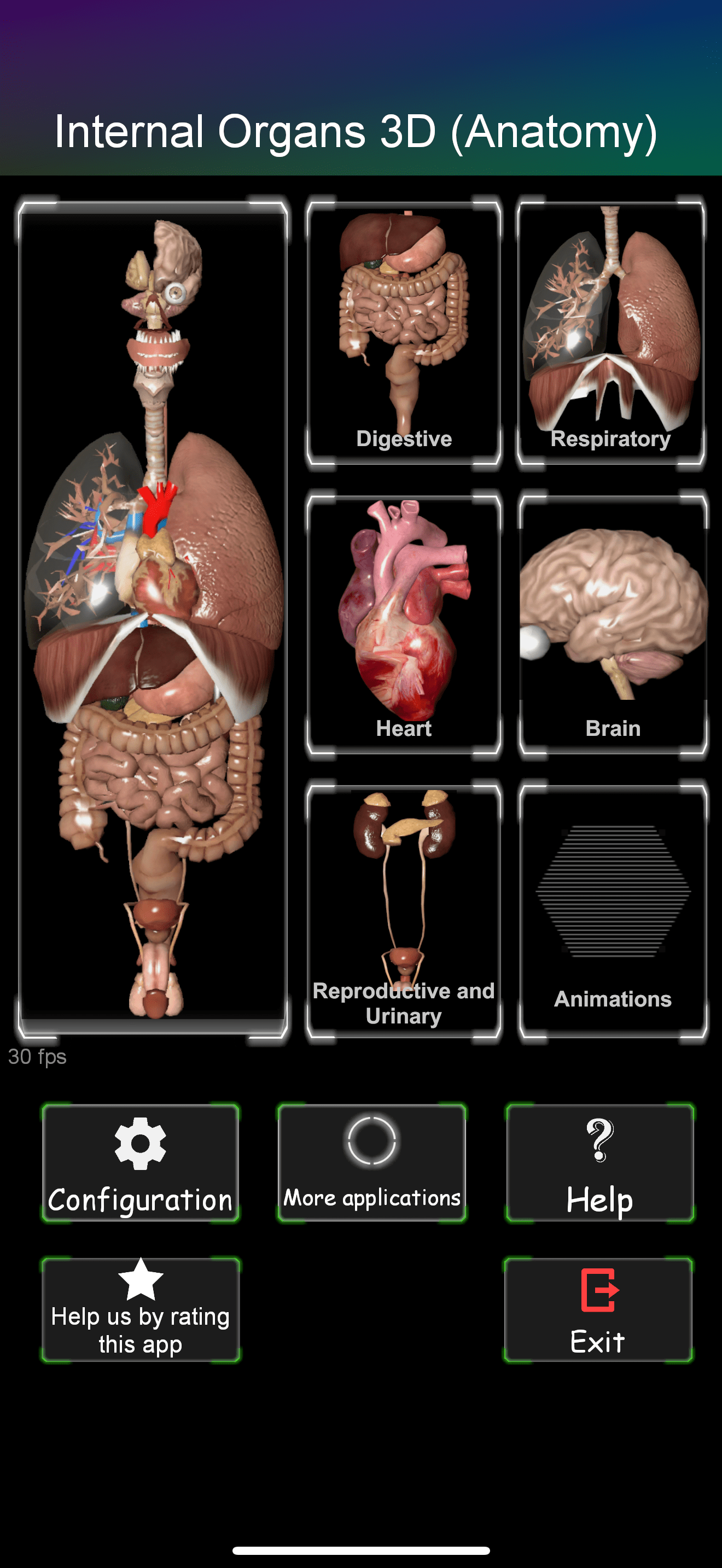 ORGANS 3D (ANATOMY)