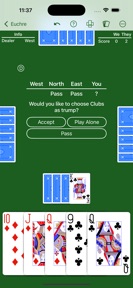Euchre - Expert AI screenshot
