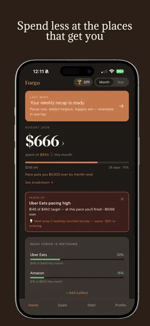 Debt Payoff Budget - Forgo screenshot 1