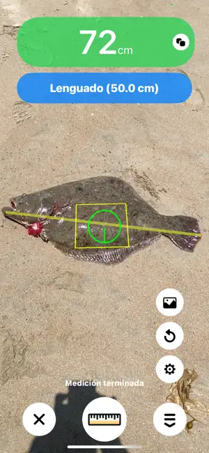 Pescadometro (Fishmeter) screenshot 1