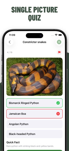 Snakes Quiz Guess Snake iPhone screenshot
