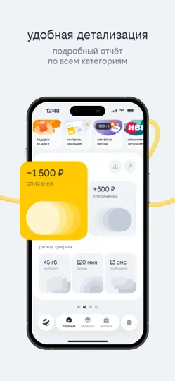 Скриншот билайн на iPhone 6
